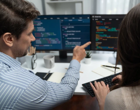 Software Maintenance and Support