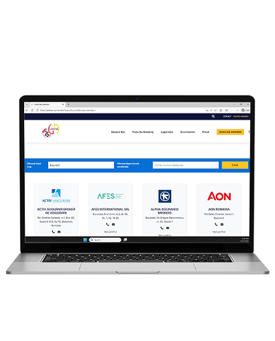 Application interface